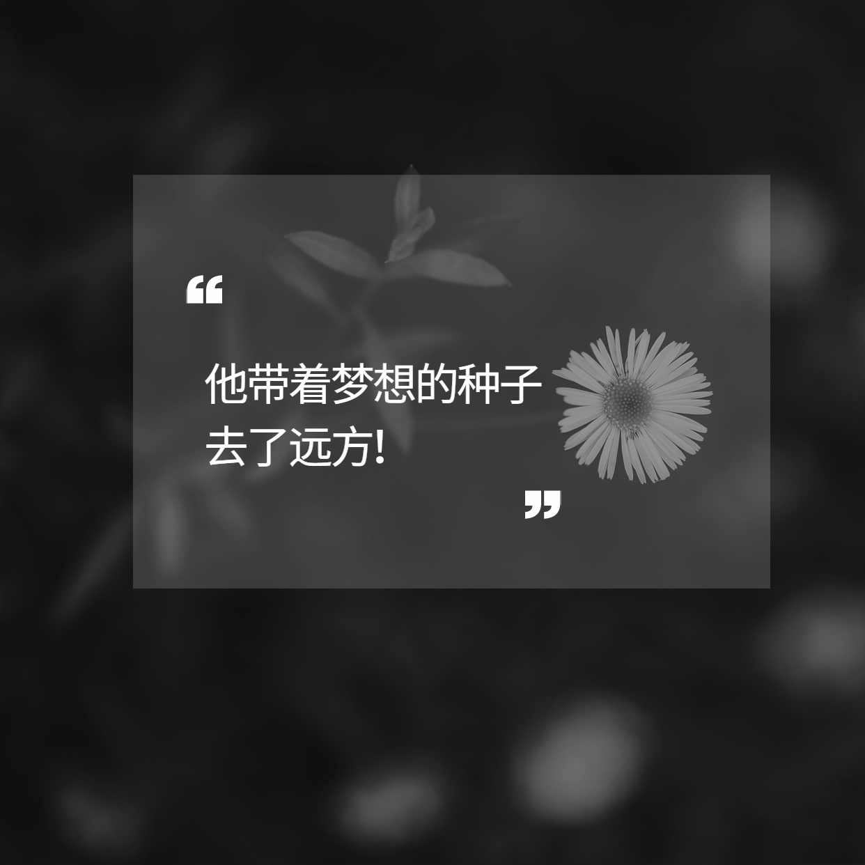 袁隆平用一粒種子的力量改變了世界！