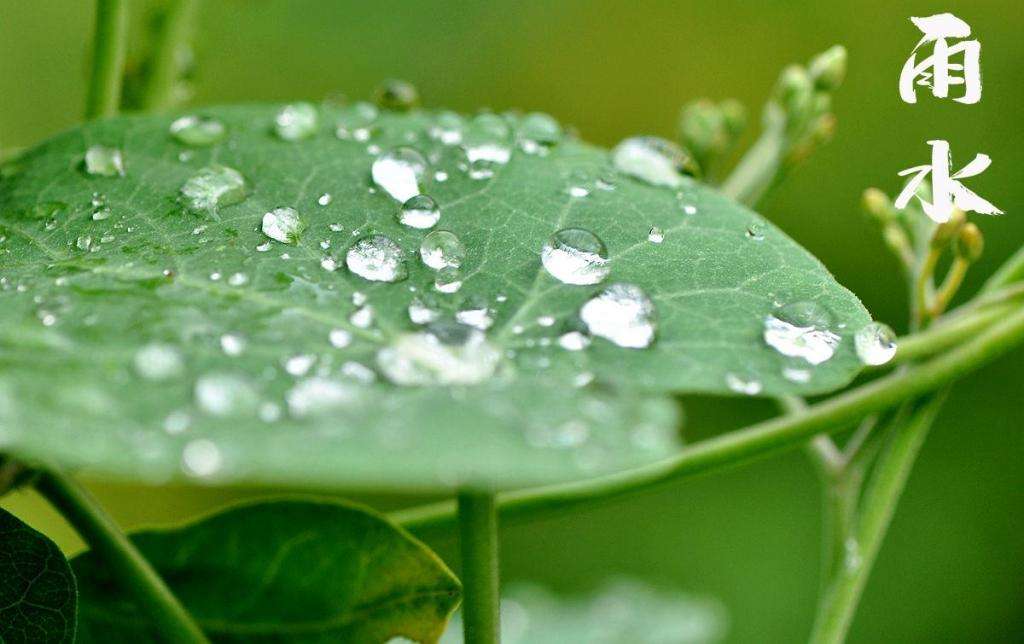 雨水潤萬物，兼顧沙與泥！